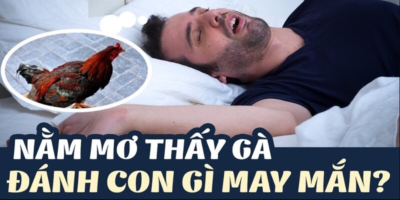 Ngủ mơ thấy gà đánh con lô mấy trúng thưởng?